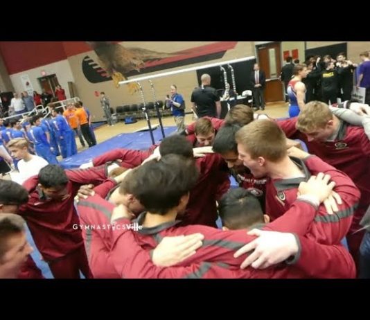 Saginaw High School Gymnastics
