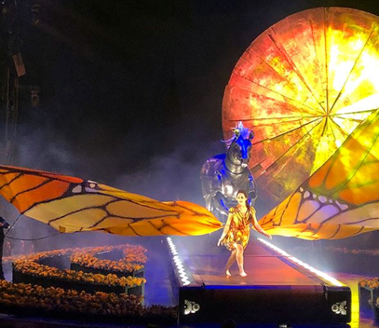 Cirque du Soleil buys VStar Entertainment Cirque du Soleil buys VStar Entertainment