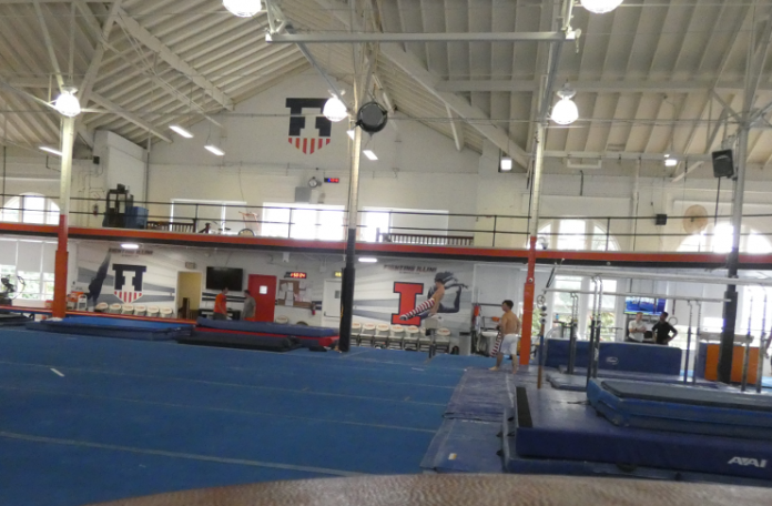Week 3 Recap NCAA Gymnastics. Paradise, Illinois Gymnastics Finish Strong at Windy City Invite